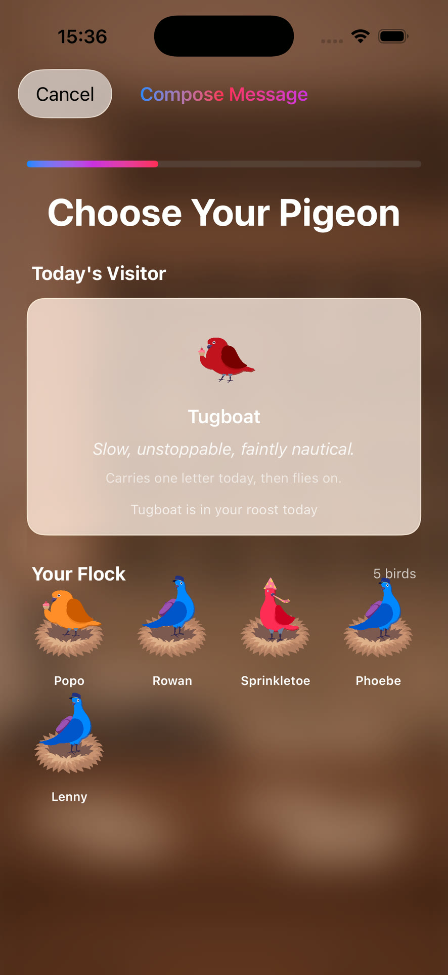 Choose your pigeon — a visiting bird waits